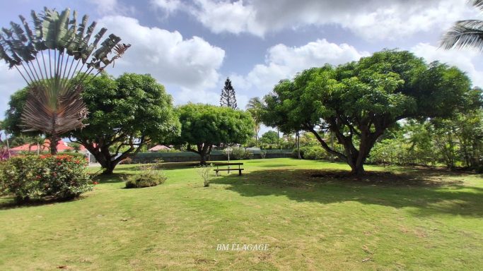 Entretien paysager chez un particulier à Baie-Mahault Entretien paysager chez un particulier à Baie-Mahault en Guadeloupe