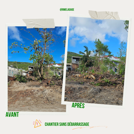 Avant/après d'un abattage et démontage d'un amandier et d'un cocotier chez un particulier